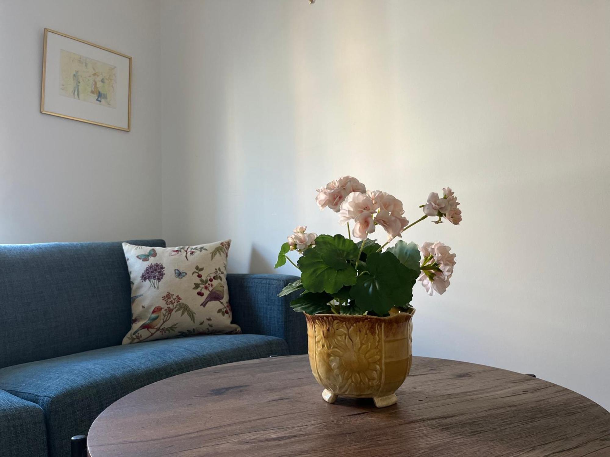 Ahusbrygga Apartment Hotel المظهر الخارجي الصورة